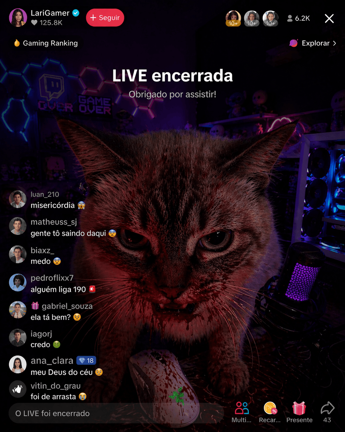 LIVE encerrada